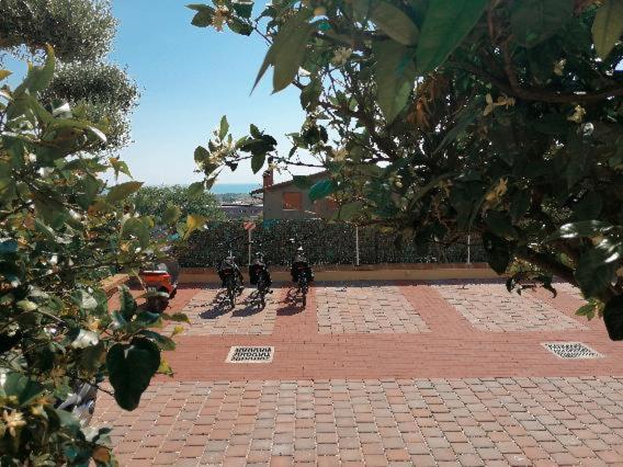 Dimora Effe - Eco B&B Termoli Extérieur photo